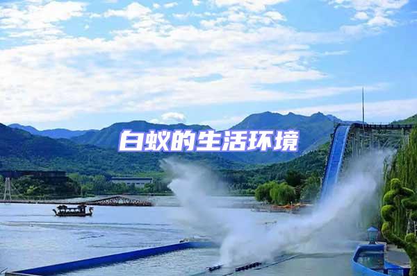 白蟻的生活環境