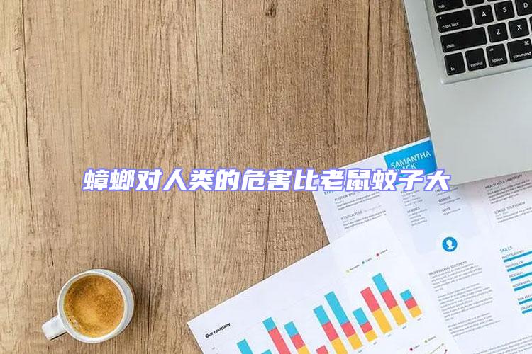蟑螂對人類的危害比老鼠蚊子大