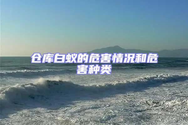 倉(cāng)庫(kù)白蟻的危害情況和危害種類