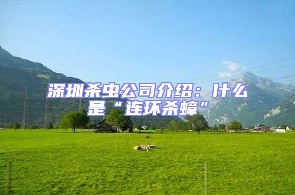 深圳殺蟲公司介紹：什么是“連環(huán)殺蟑”
