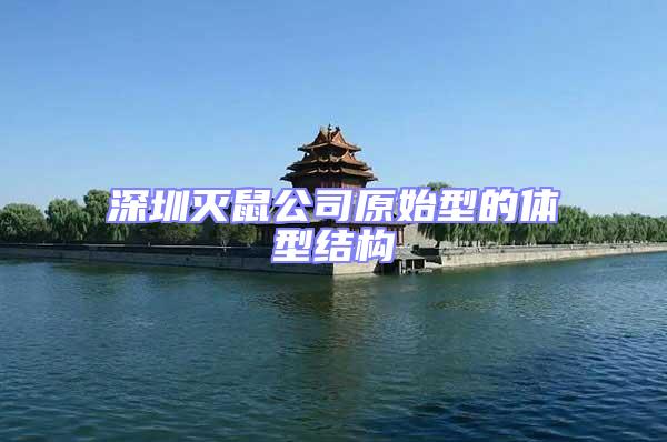 深圳滅鼠公司原始型的體型結構