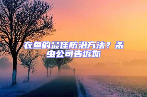 衣魚(yú)的最佳防治方法？殺蟲(chóng)公司告訴你