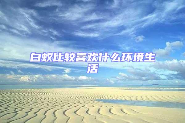 白蟻比較喜歡什么環境生活