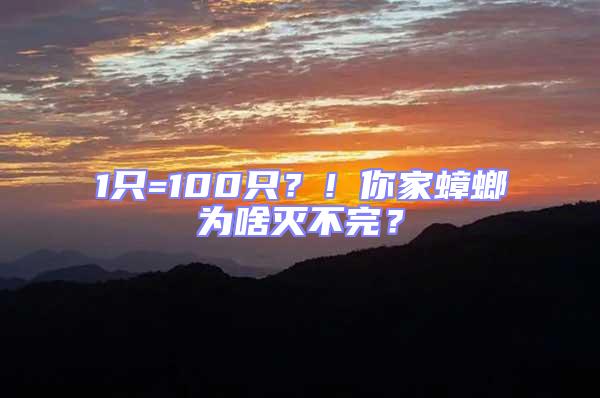 1只=100只？！你家蟑螂為啥滅不完？
