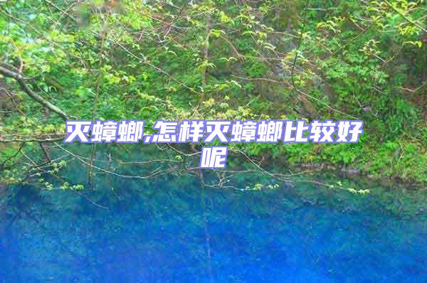 滅蟑螂,怎樣滅蟑螂比較好呢