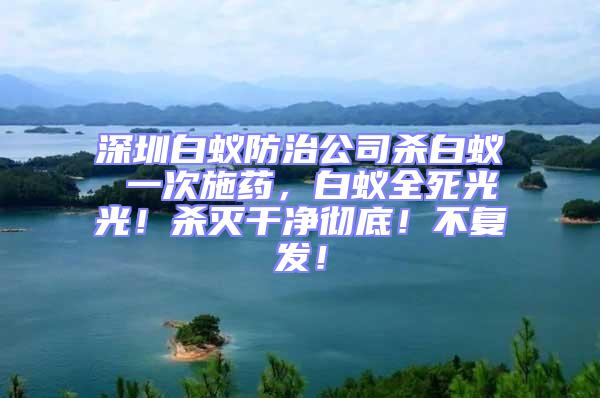 深圳白蟻防治公司殺白蟻 一次施藥，白蟻全死光光！殺滅干凈徹底！不復發！