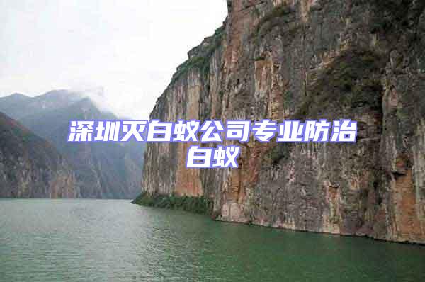 深圳滅白蟻公司專業(yè)防治白蟻