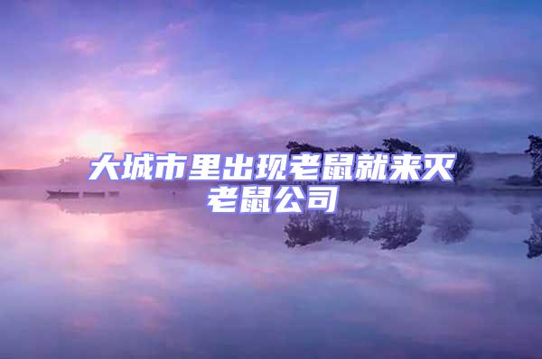 大城市里出現老鼠就來滅老鼠公司