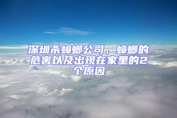 深圳殺蟑螂公司，蟑螂的危害以及出現(xiàn)在家里的2個原因