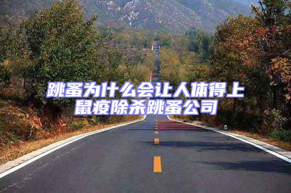 跳蚤為什么會讓人體得上鼠疫除殺跳蚤公司
