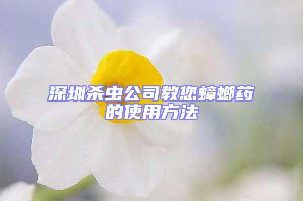 深圳殺蟲(chóng)公司教您蟑螂藥的使用方法