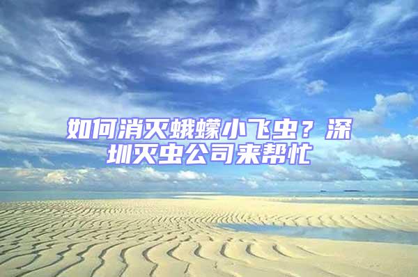 如何消滅蛾蠓小飛蟲(chóng)？深圳滅蟲(chóng)公司來(lái)幫忙