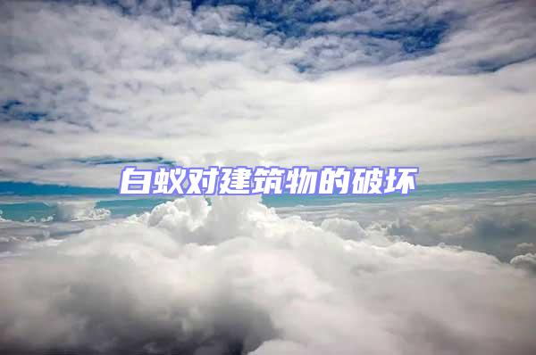 白蟻對建筑物的破壞