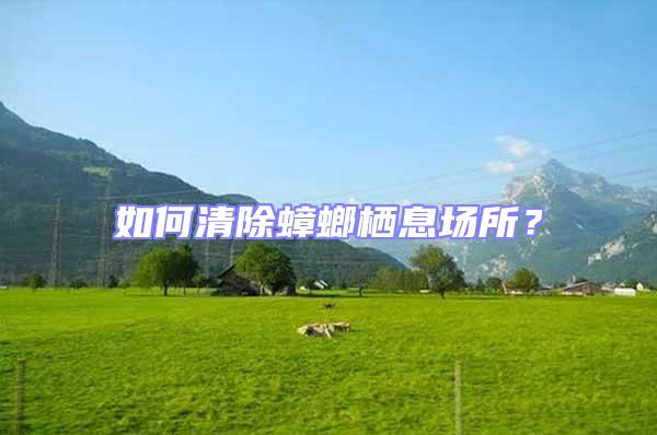 如何清除蟑螂棲息場所？