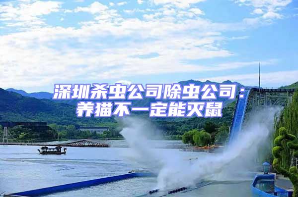 深圳殺蟲公司除蟲公司：養貓不一定能滅鼠