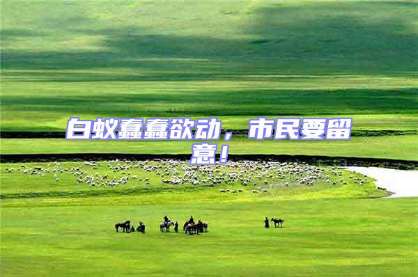 白蟻蠢蠢欲動(dòng)，市民要留意！