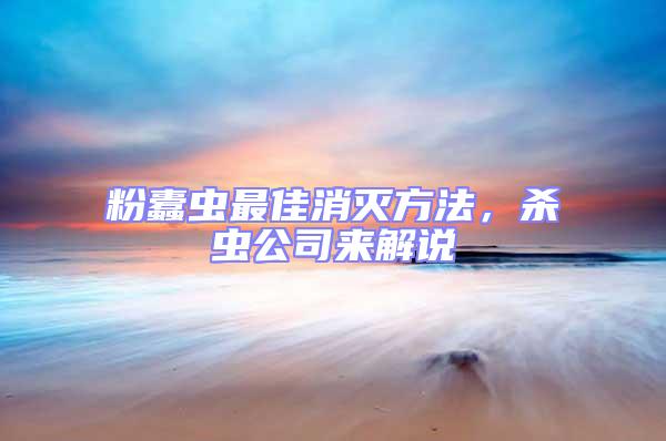 粉蠹蟲最佳消滅方法，殺蟲公司來解說