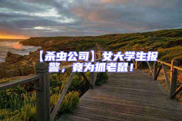 【殺蟲公司】女大學(xué)生報(bào)警，竟為抓老鼠！