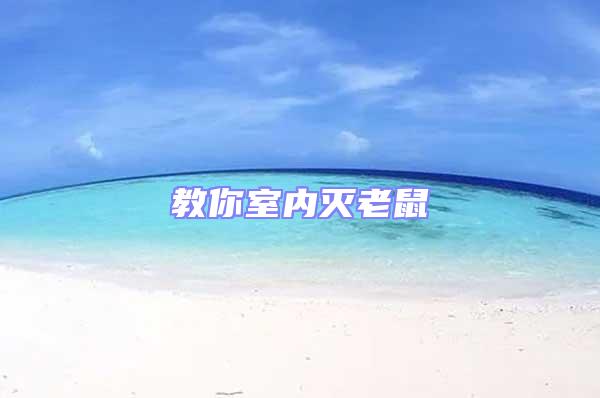 教你室內(nèi)滅老鼠