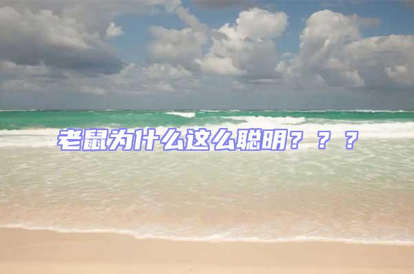 老鼠為什么這么聰明？？？