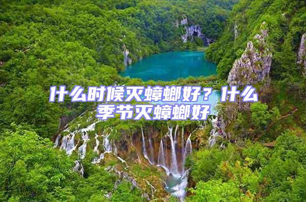 什么時候滅蟑螂好？什么季節滅蟑螂好
