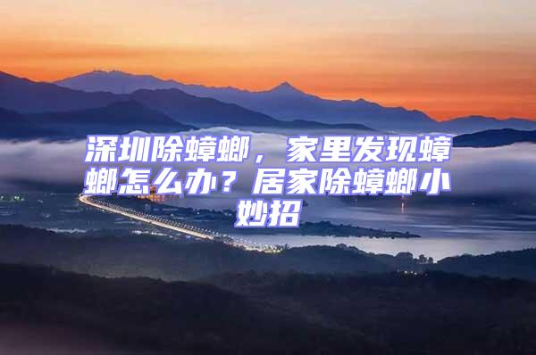 深圳除蟑螂，家里發現蟑螂怎么辦？居家除蟑螂小妙招