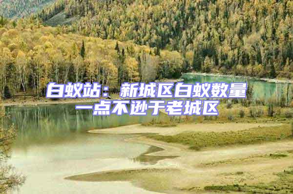 白蟻站：新城區(qū)白蟻數(shù)量一點(diǎn)不遜于老城區(qū)