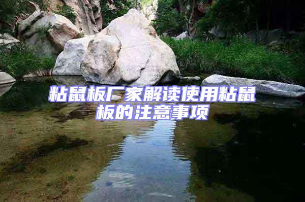 粘鼠板廠家解讀使用粘鼠板的注意事項