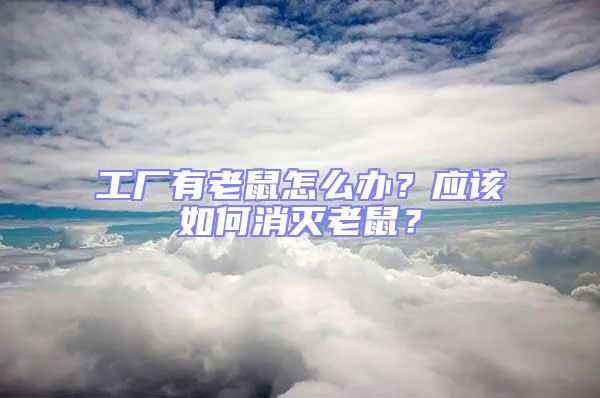 工廠有老鼠怎么辦？應該如何消滅老鼠？