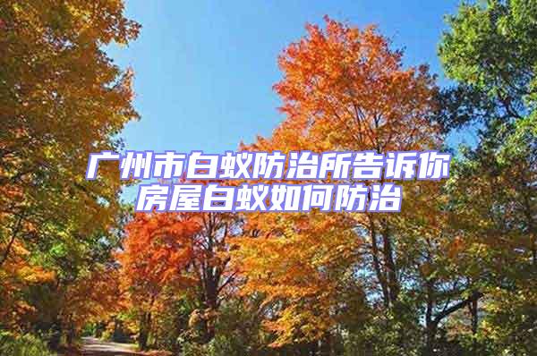 廣州市白蟻防治所告訴你房屋白蟻如何防治