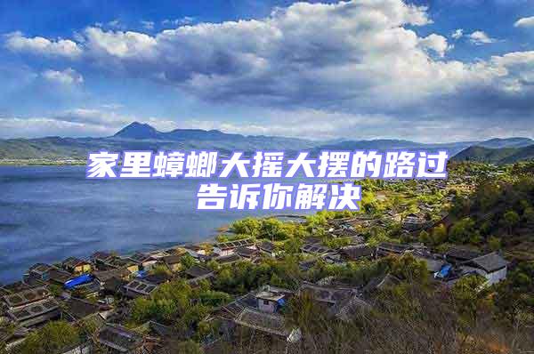 家里蟑螂大搖大擺的路過 告訴你解決