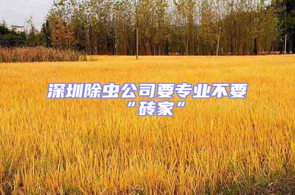 深圳除蟲公司要專業(yè)不要“磚家”