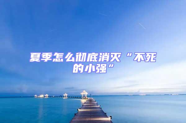 夏季怎么徹底消滅“不死的小強”