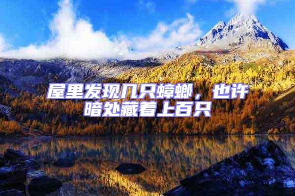 屋里發(fā)現(xiàn)幾只蟑螂，也許暗處藏著上百只