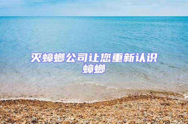 滅蟑螂公司讓您重新認識蟑螂