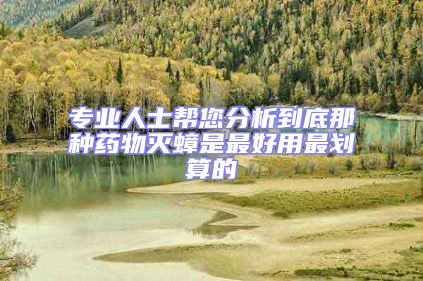 專業人士幫您分析到底那種藥物滅蟑是最好用最劃算的