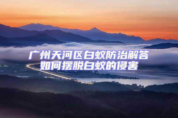 廣州天河區(qū)白蟻防治解答如何擺脫白蟻的侵害