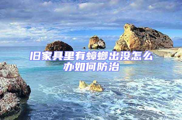 舊家具里有蟑螂出沒(méi)怎么辦如何防治