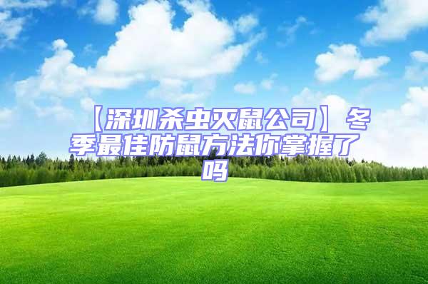 【深圳殺蟲滅鼠公司】冬季最佳防鼠方法你掌握了嗎