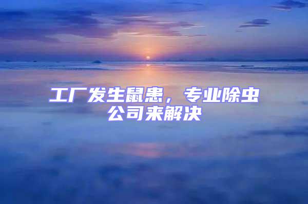 工廠發生鼠患，專業除蟲公司來解決