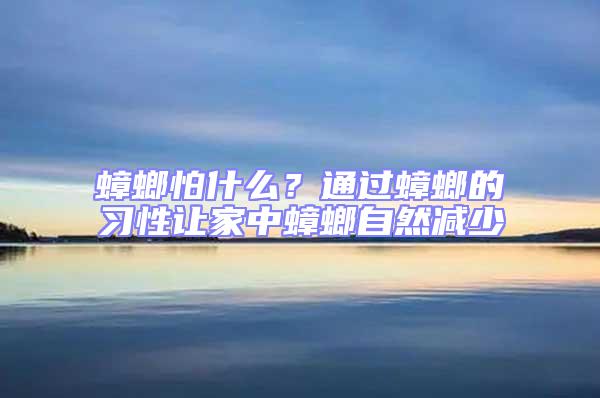 蟑螂怕什么？通過蟑螂的習(xí)性讓家中蟑螂自然減少