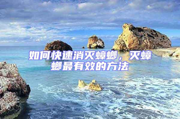 如何快速消滅蟑螂，滅蟑螂最有效的方法