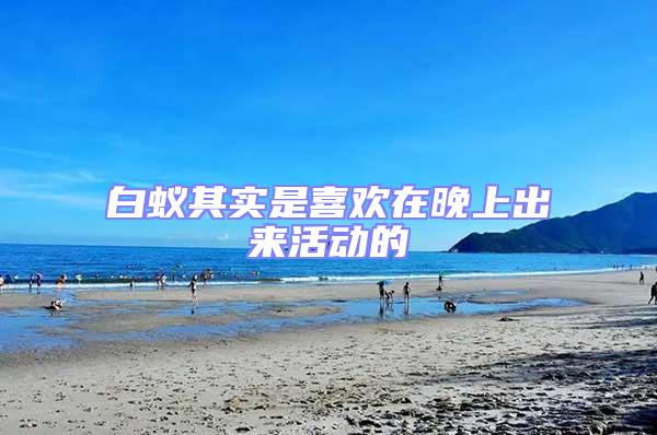 白蟻其實是喜歡在晚上出來活動的
