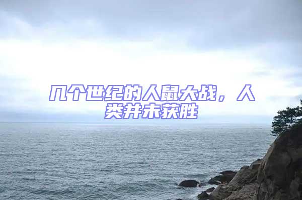 幾個(gè)世紀(jì)的人鼠大戰(zhàn)，人類并未獲勝