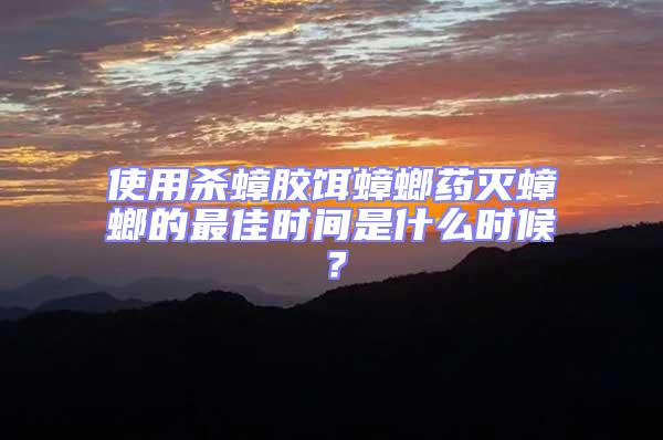 使用殺蟑膠餌蟑螂藥滅蟑螂的最佳時間是什么時候？