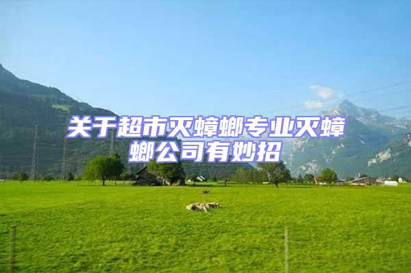 關(guān)于超市滅蟑螂專(zhuān)業(yè)滅蟑螂公司有妙招