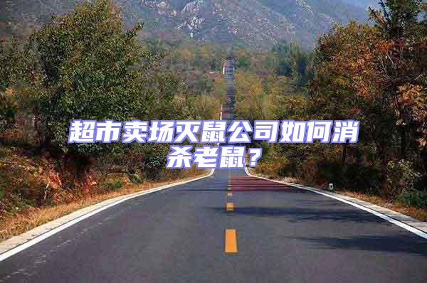超市賣場滅鼠公司如何消殺老鼠？
