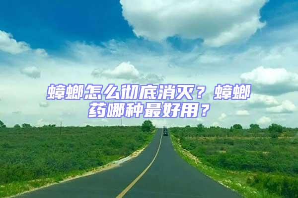 蟑螂怎么徹底消滅？蟑螂藥哪種最好用？