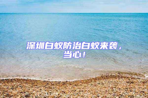 深圳白蟻防治白蟻來襲，當心！