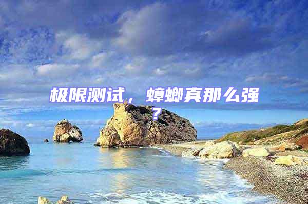 極限測試，蟑螂真那么強？